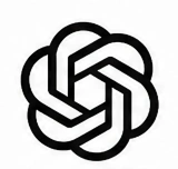 OpenAI API